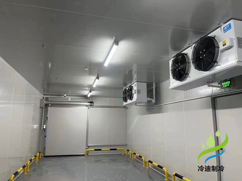 冷链物流中的冷库设计:如何确保食品新鲜?